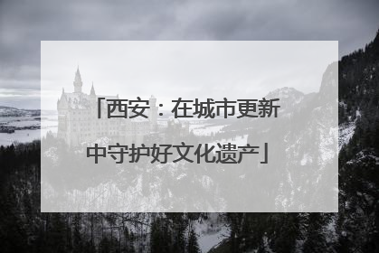 西安：在城市更新中守护好文化遗产